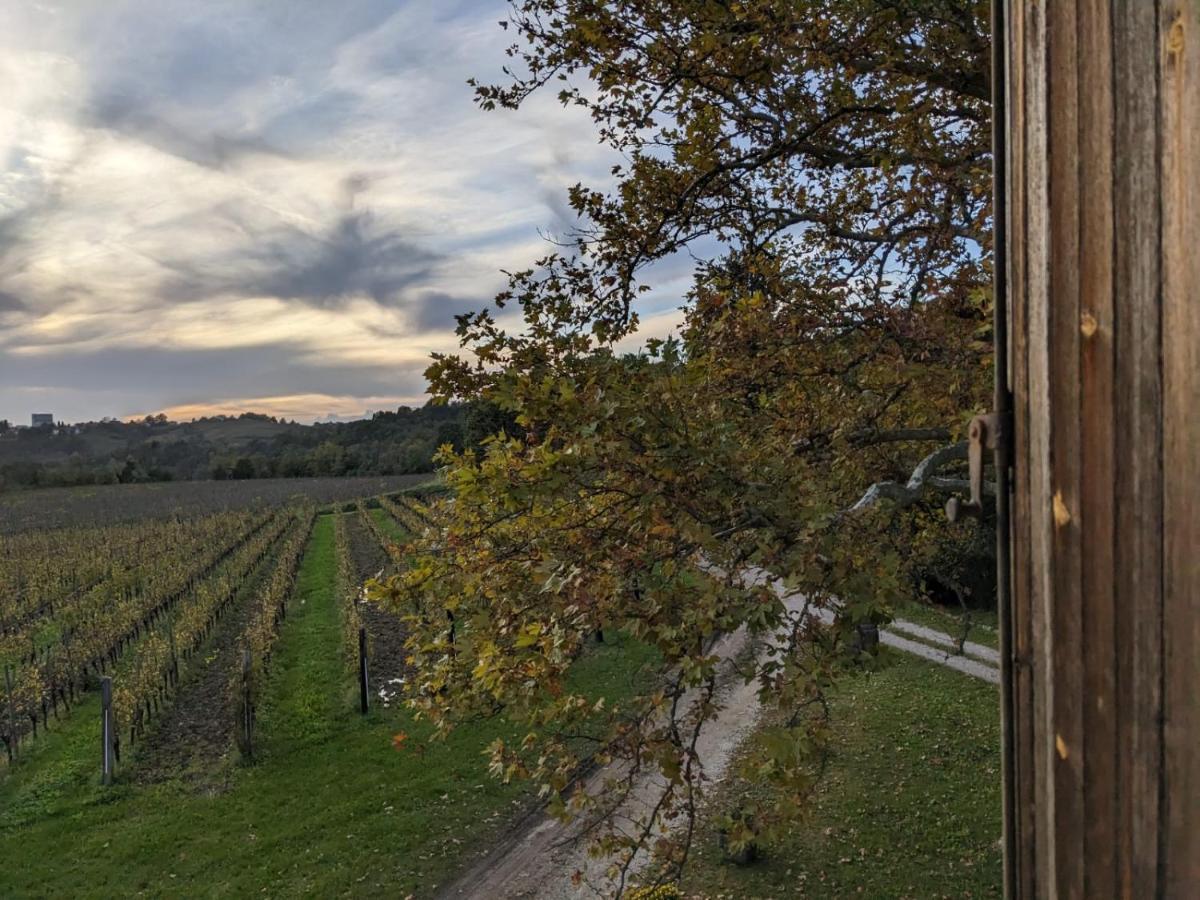 Castel San Mauro Otel Gorizia Dış mekan fotoğraf