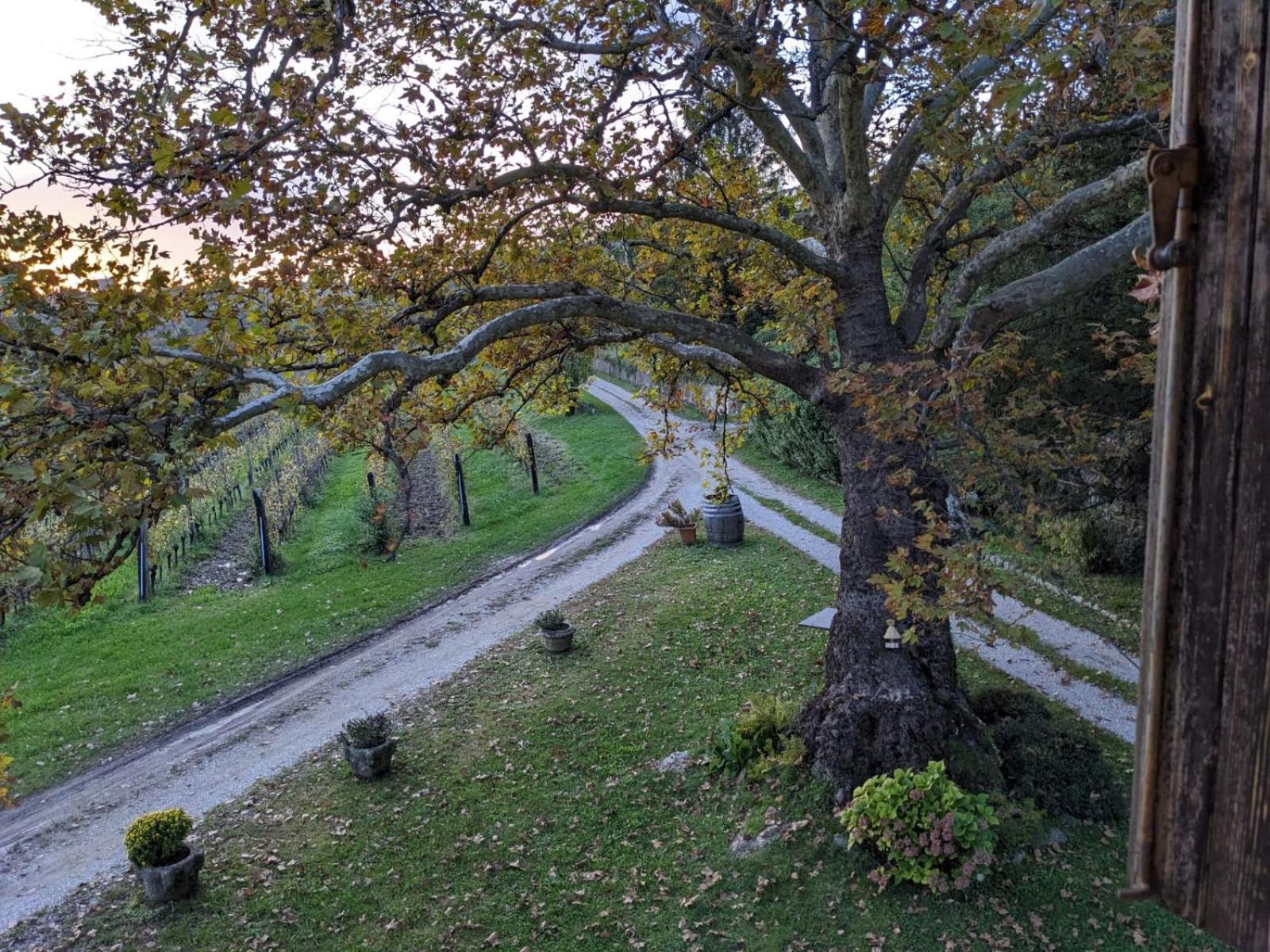 Castel San Mauro Otel Gorizia Dış mekan fotoğraf