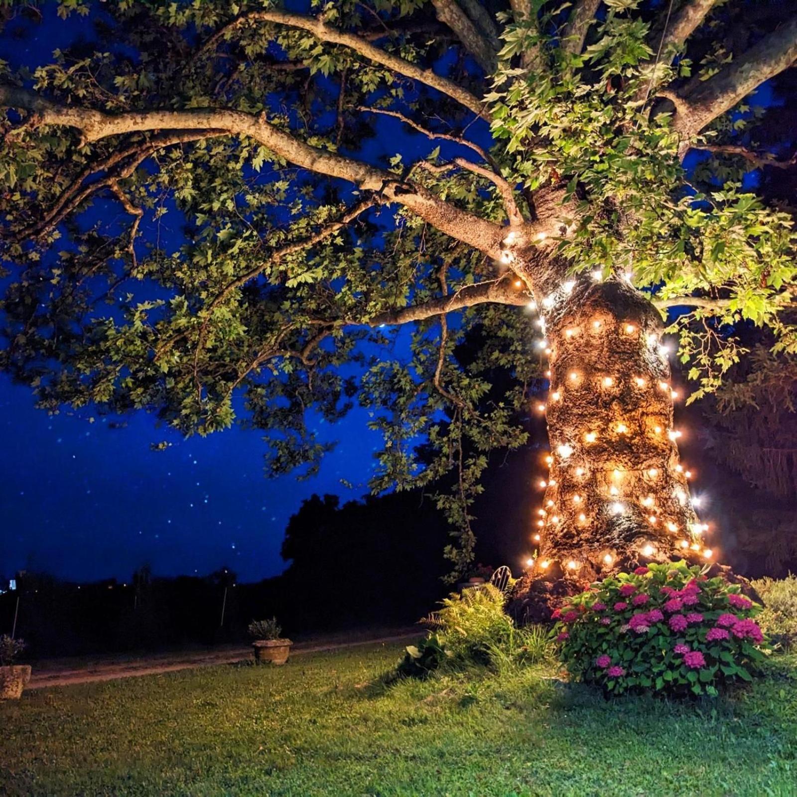 Castel San Mauro Otel Gorizia Dış mekan fotoğraf